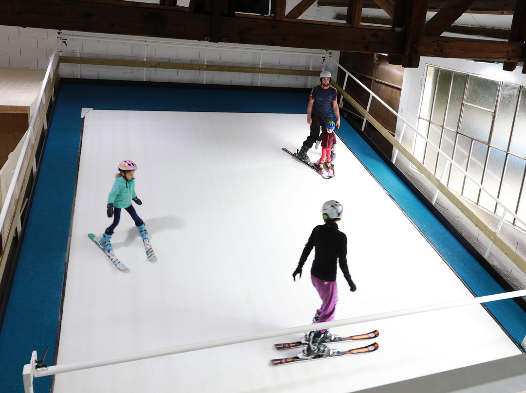 Ski Indoor 4810-帕西必去景点