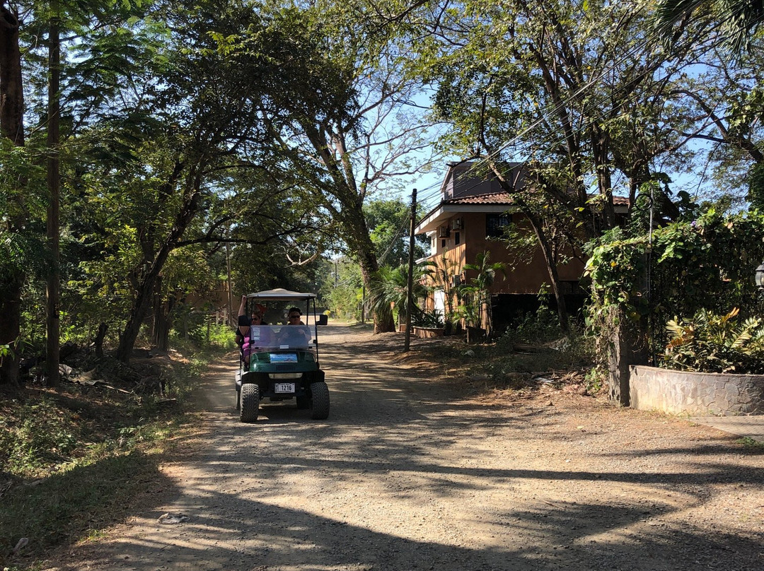 Rent a Golf Cart Costa Rica景点图片