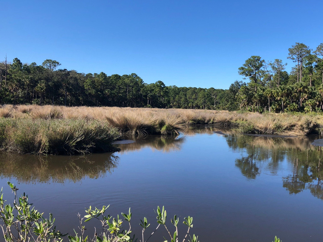 Bulow Plantation Ruins Historic State Park-Flagler Beach必去景点