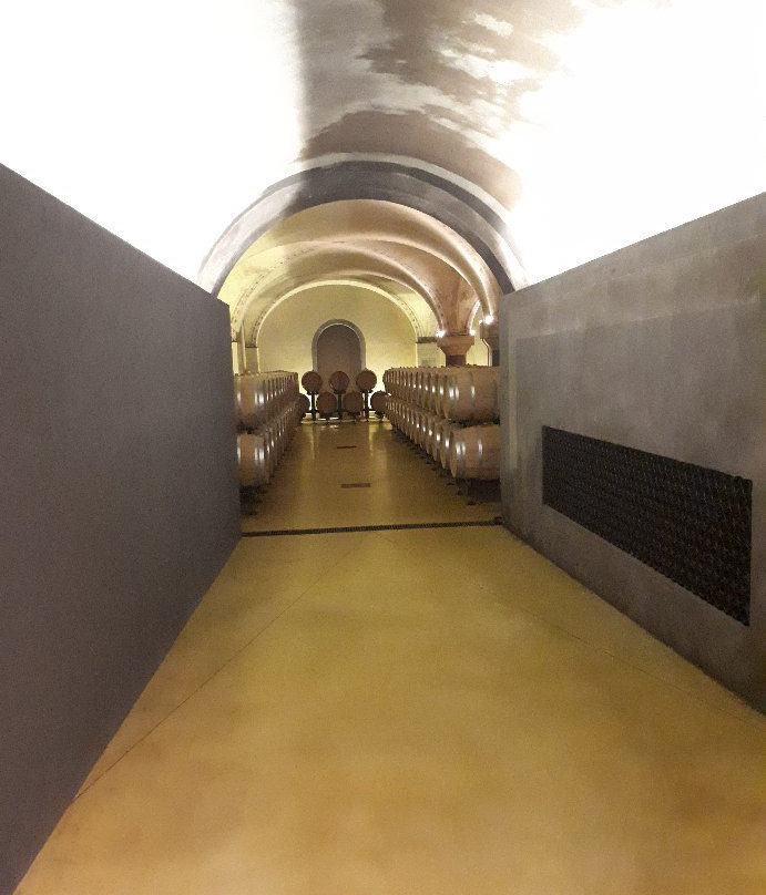 Tenute SalvaTerra景点图片