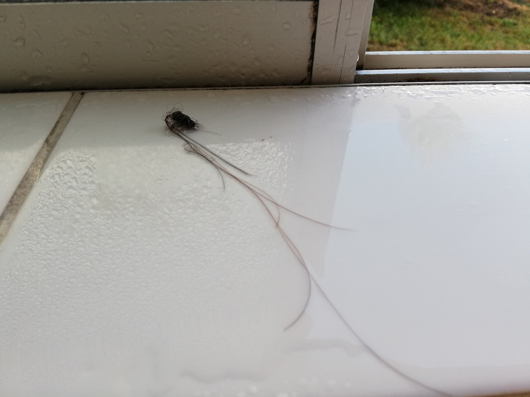 Hotel el Ciervo主图