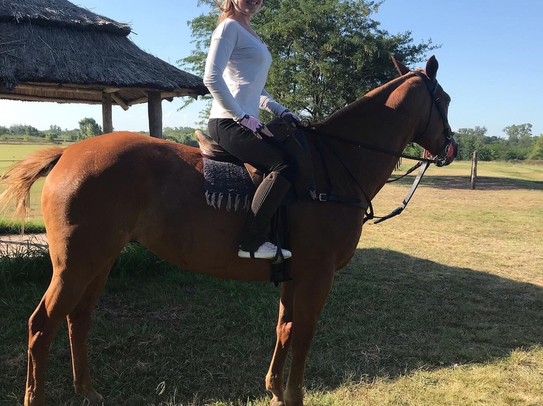 La Amistad Polo-Pilar必去景点