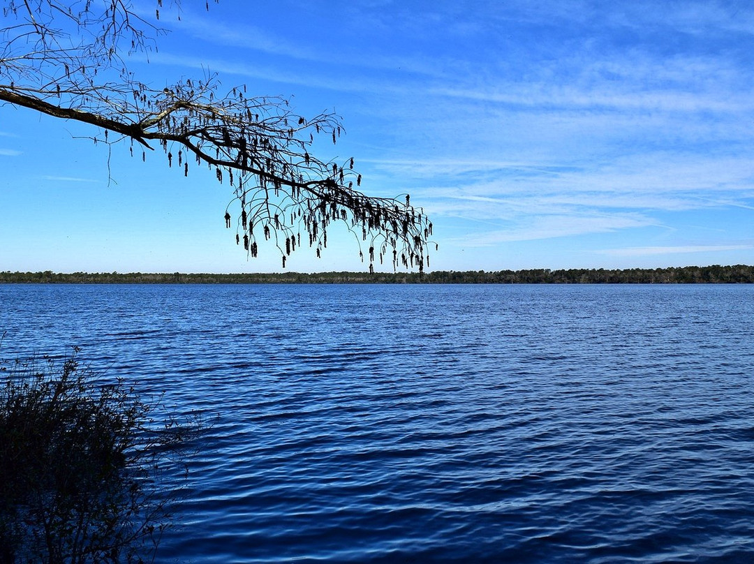 Jones Lake State Park景点图片