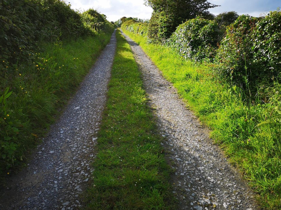 Connect the Dots Tours of Ireland景点图片