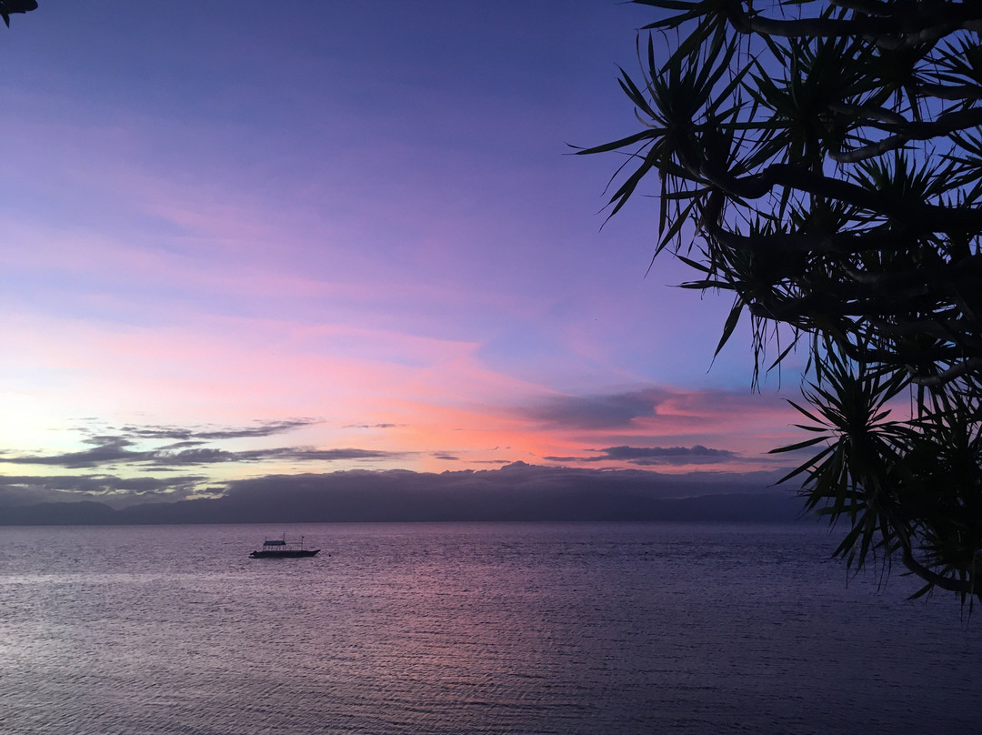 蓝色兰花度假村主图