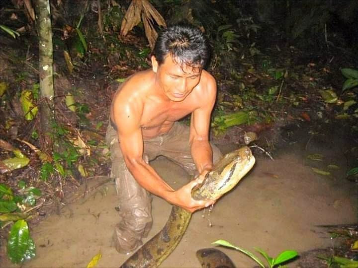 Green Wild Amazon Expedition-伊基托斯必去景点