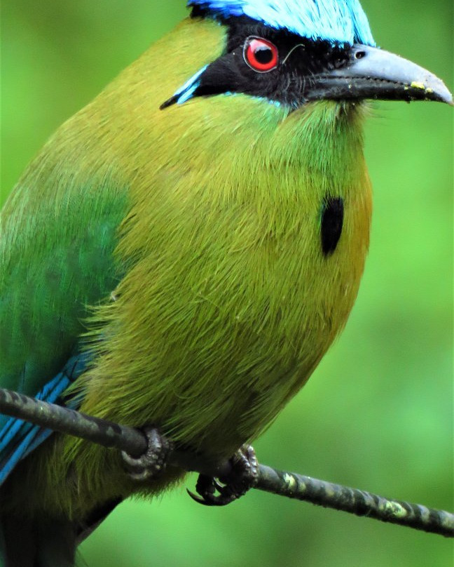 Finca Demostrativa Don Miguel-Villamaria必去景点