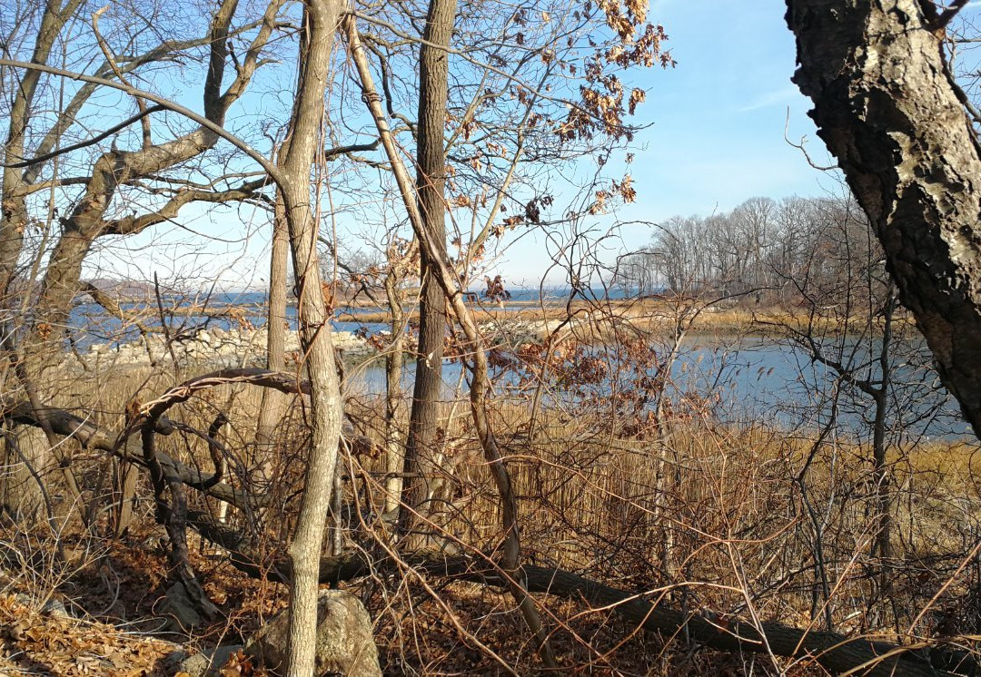 Pelham Bay Park-布朗克斯必去景点