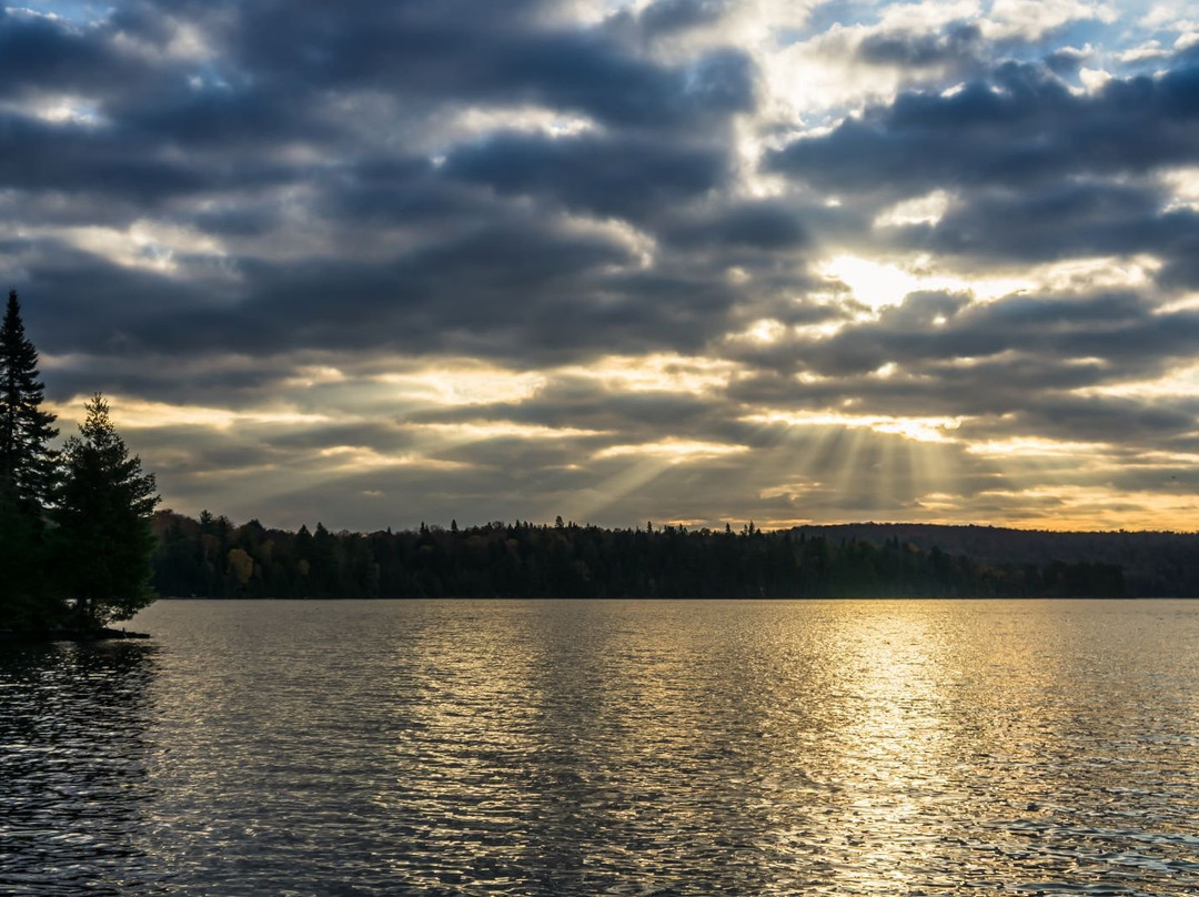 Algonquin Provincial Park景点图片