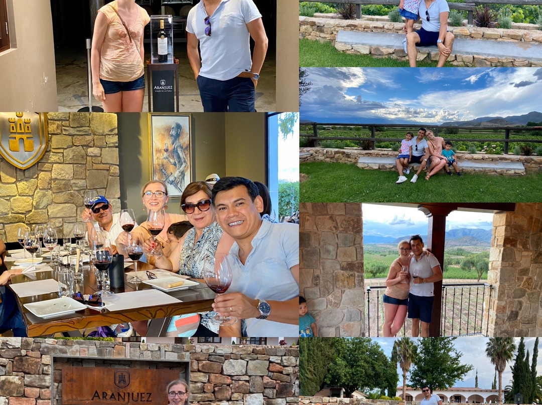 Bodega Campos de Solana-塔里哈必去景点