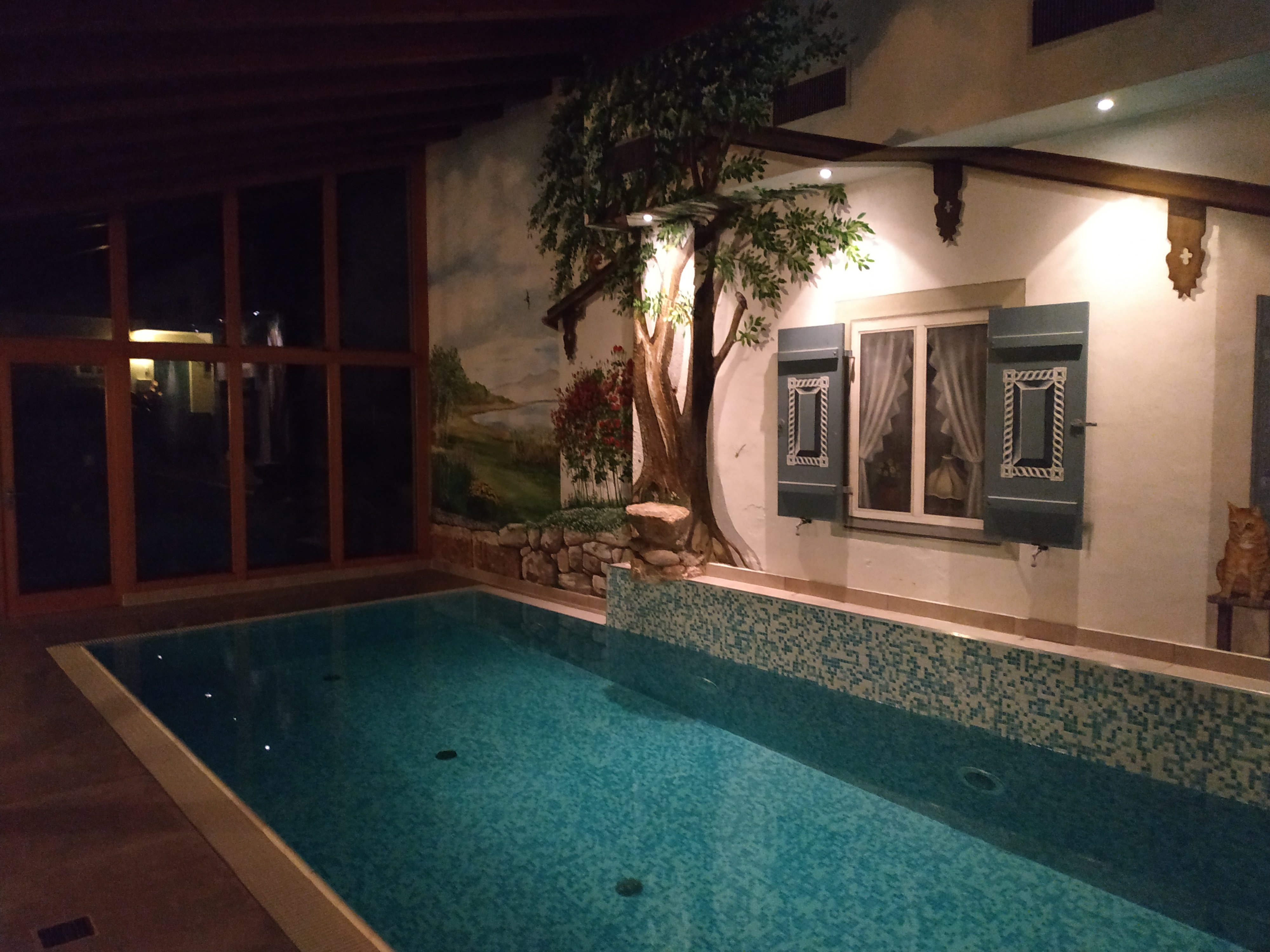 Landgasthof Karner-泳池