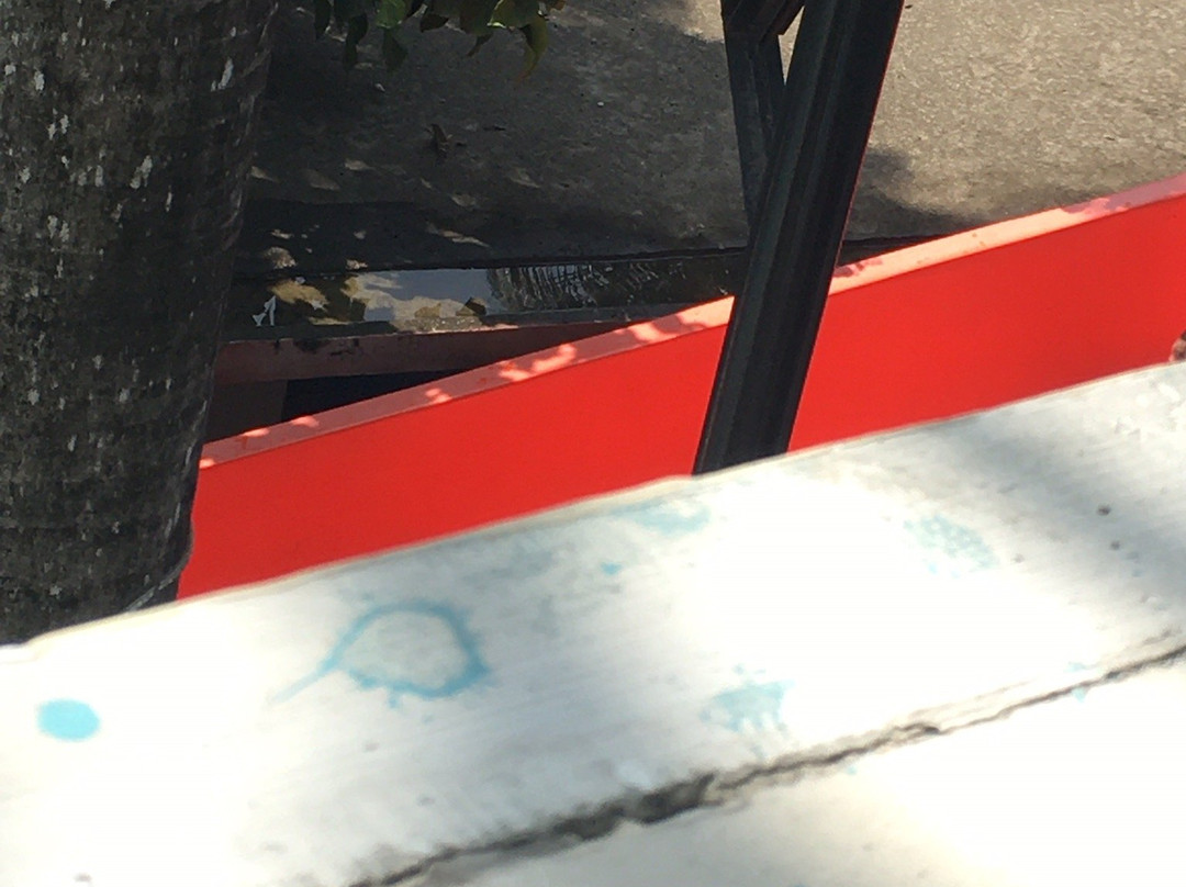 乔安娜度假别墅酒店主图