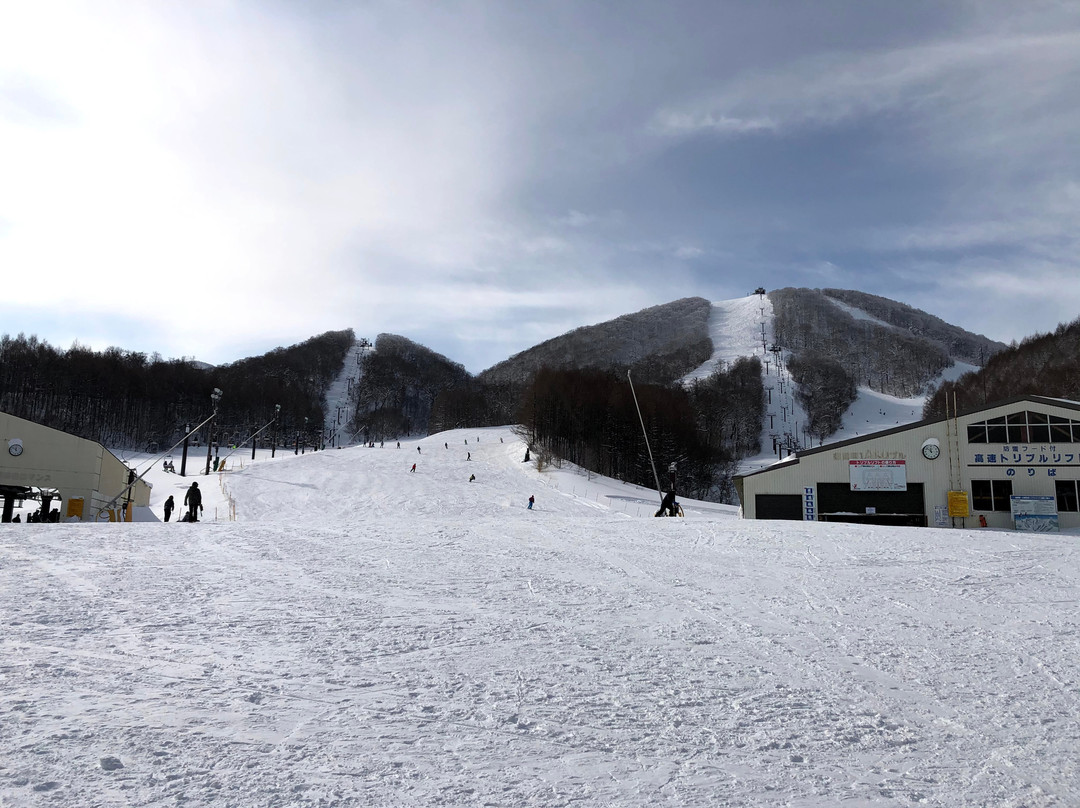 Hoshino Resorts Nekoma Snow Park & Resort景点图片