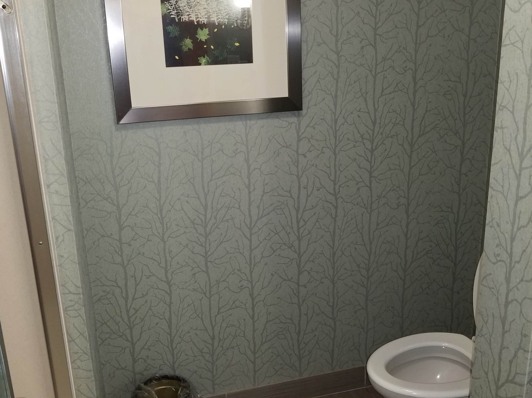 安德森希尔顿恒庭酒店主图