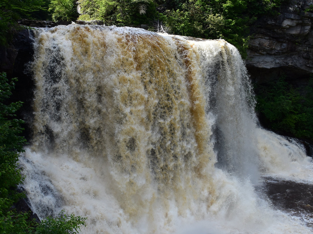 Blackwater Falls State Park-戴维斯必去景点