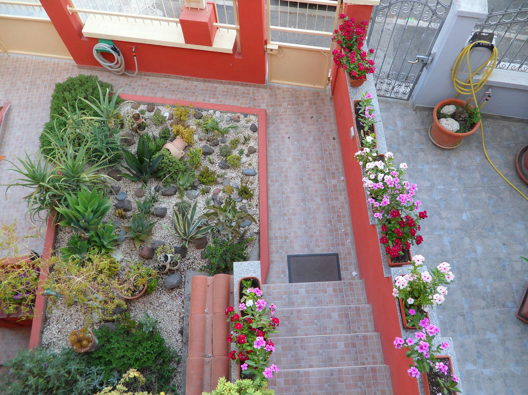 Il Mirto Bed and Breakfast主图