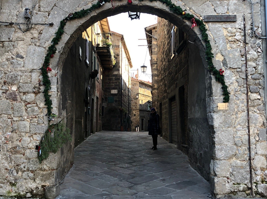 Porta d'ingresso dell'Abbazia di San Salvatore景点图片