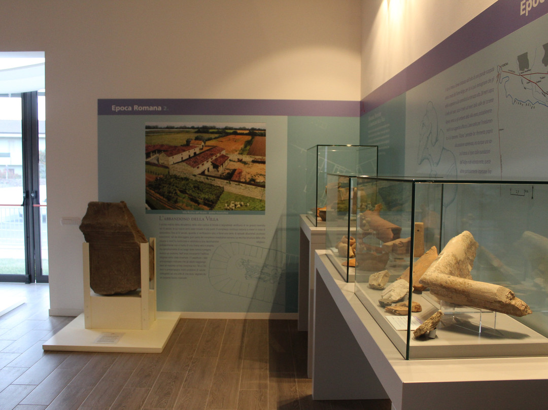 Museo Napoleonico "G. A. Antonelli"