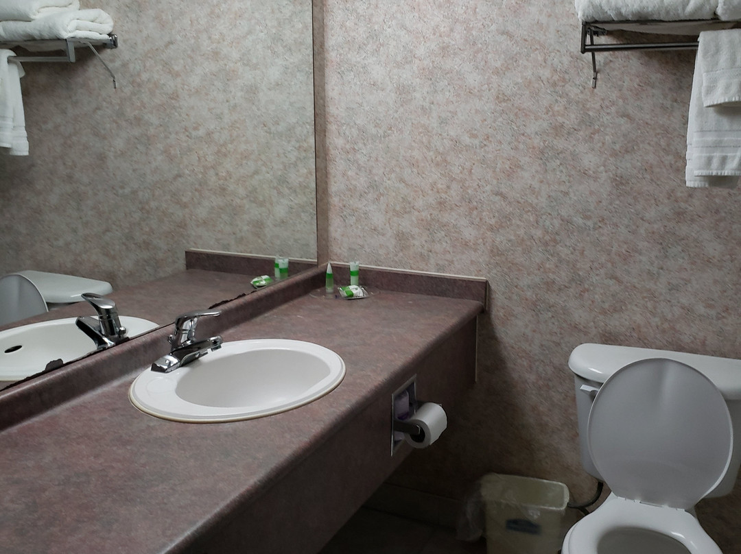 Lexington Inn & Suites Windsor主图