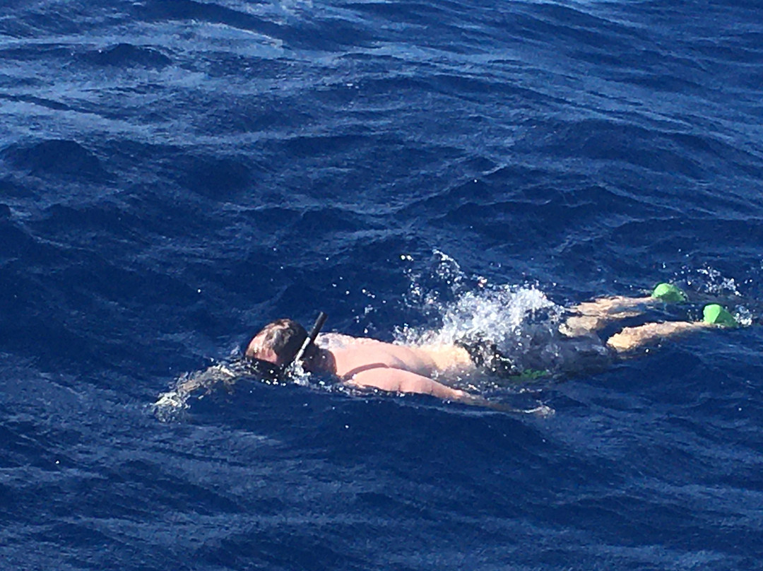 Molokini and Lanai Snorkeling Day Tour-怀露库必去景点