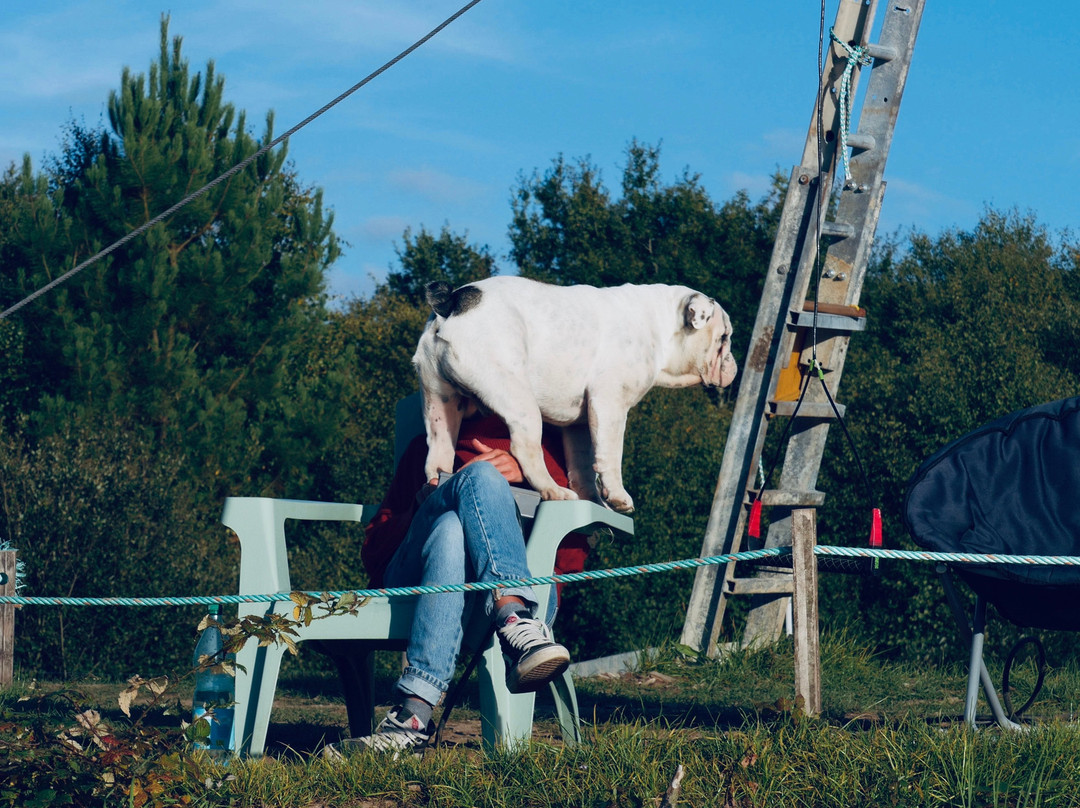 TYTAZ WAKEPARK-坎佩尔必去景点