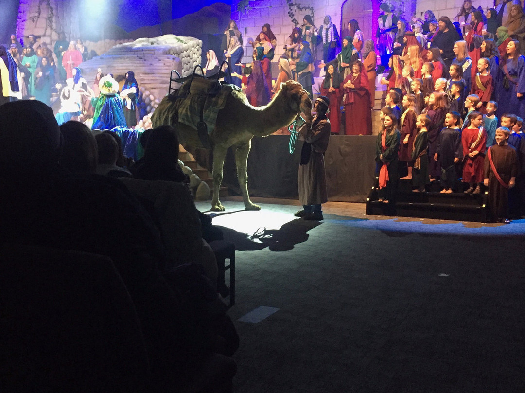 Quentin Road Christmas Pageant-Lake Zurich必去景点