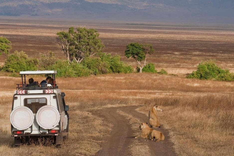 Shark Adventures-内罗毕必去景点