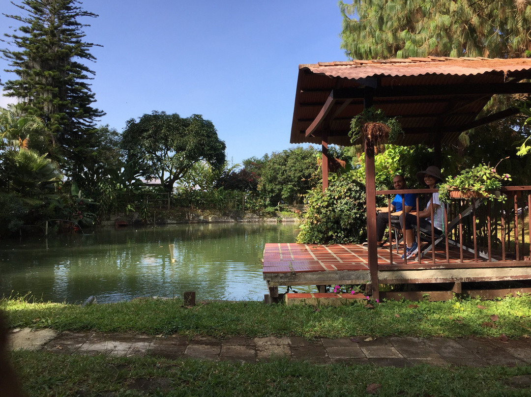 Glamping At Villa Migelita Ecolodge主图