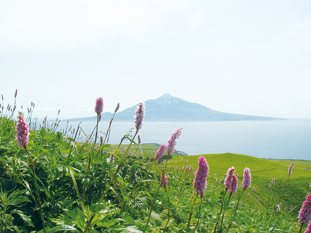 Rishiri-Rebun-Sarobetsu National Park-利尻町必去景点