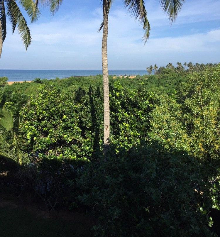 素里亚度假酒店主图