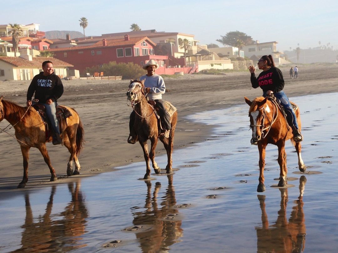 Horses by Jose-La Mision必去景点