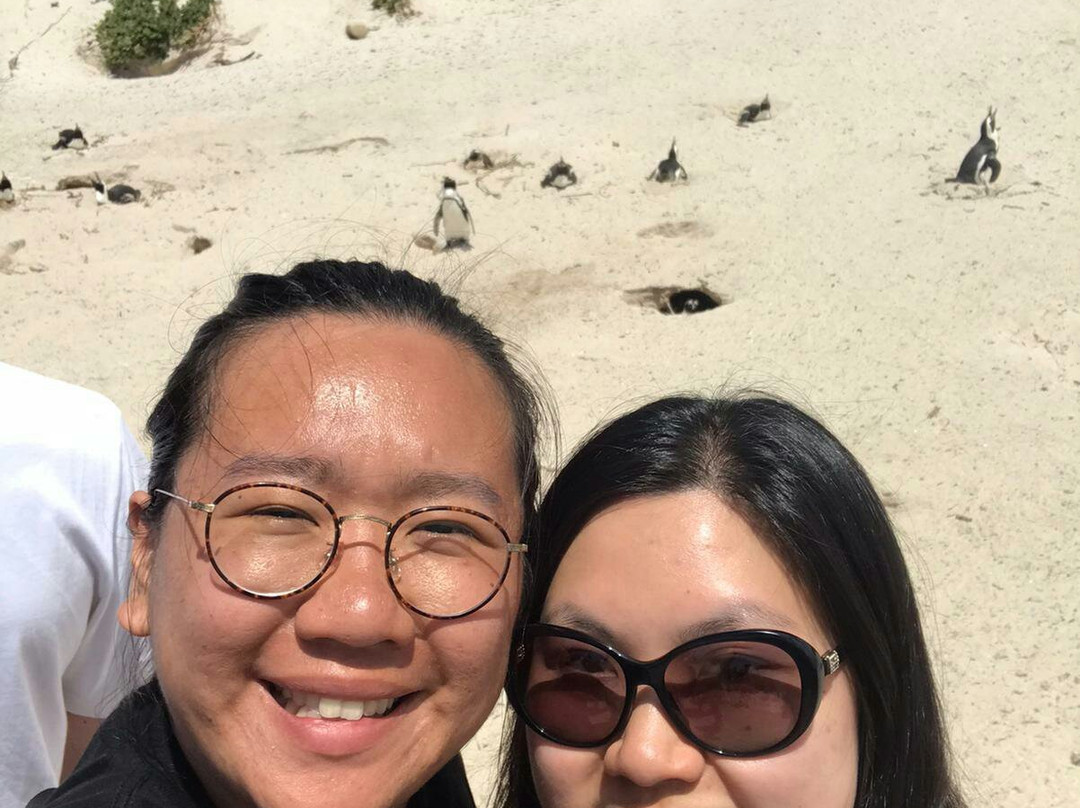 Tsamburu   Africa  travel-开普敦中心区必去景点