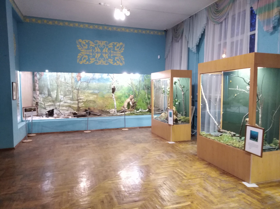 Lipetsk Regional Local Lore Museum景点图片