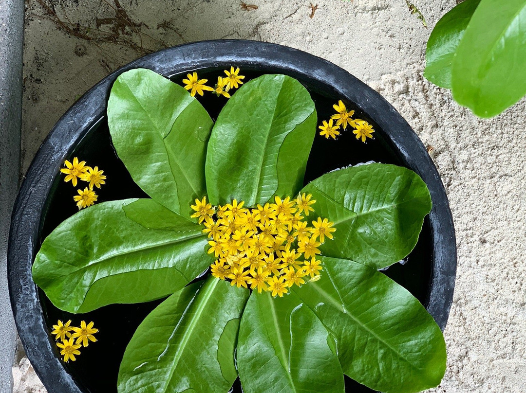 Breeze Spa at Amari Havodda Maldives-南苏瓦迪瓦环礁必去景点