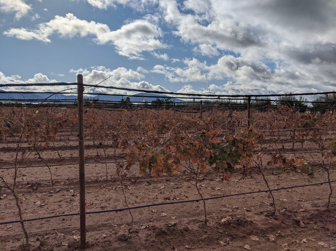 Villas En Los Retonos主图