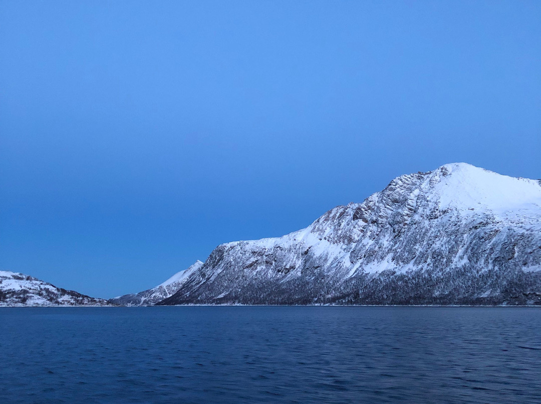 Lady Elsie Tromso - Sea fishing & Whale watching-特罗姆瑟必去景点