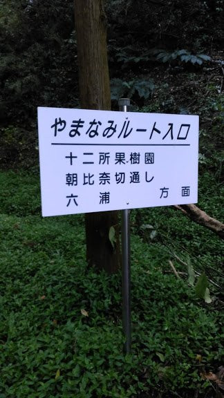 Hisagioike Park-逗子市必去景点