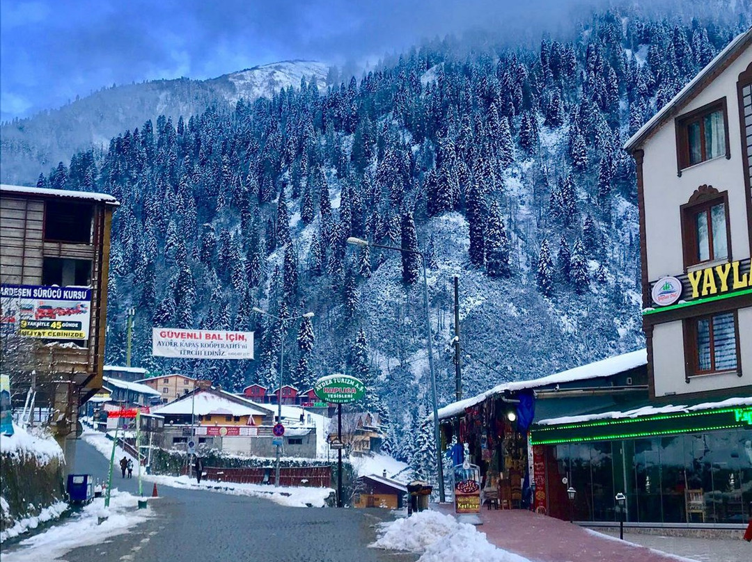 Uzungol Duyuf Hotel主图