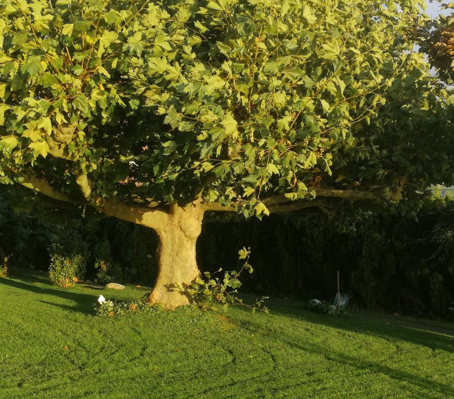 Hotel Haus am See主图