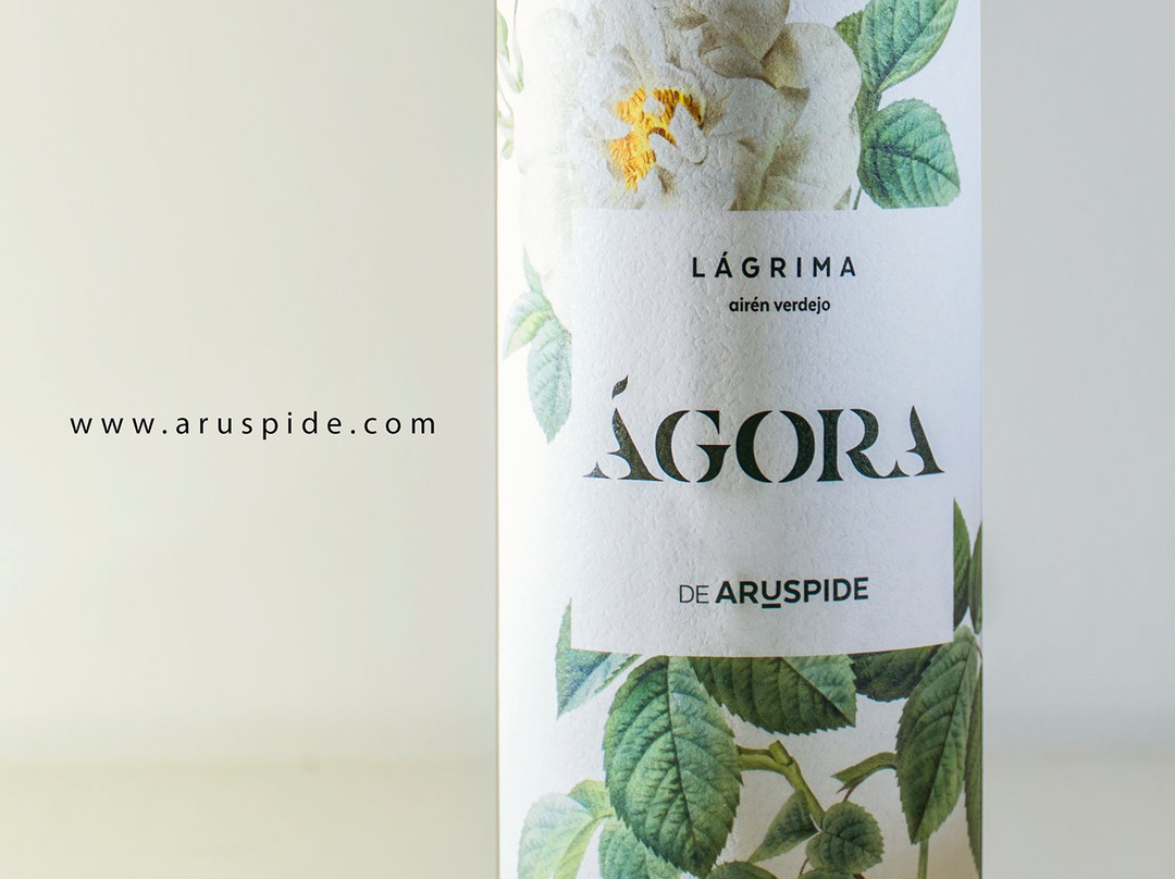 Bodegas Aruspide景点图片