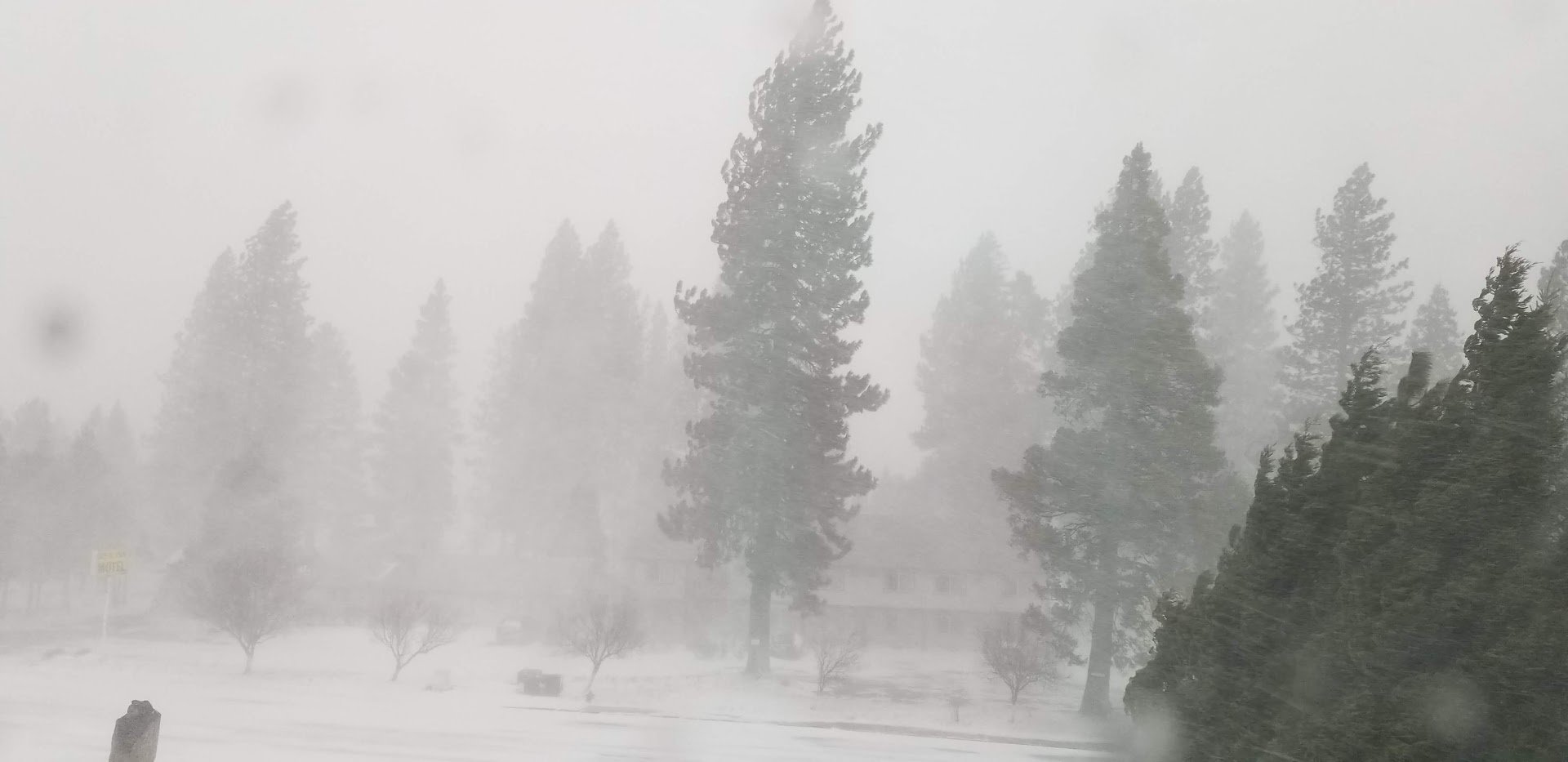 Comfort Inn Mount Shasta Area-酒店景观