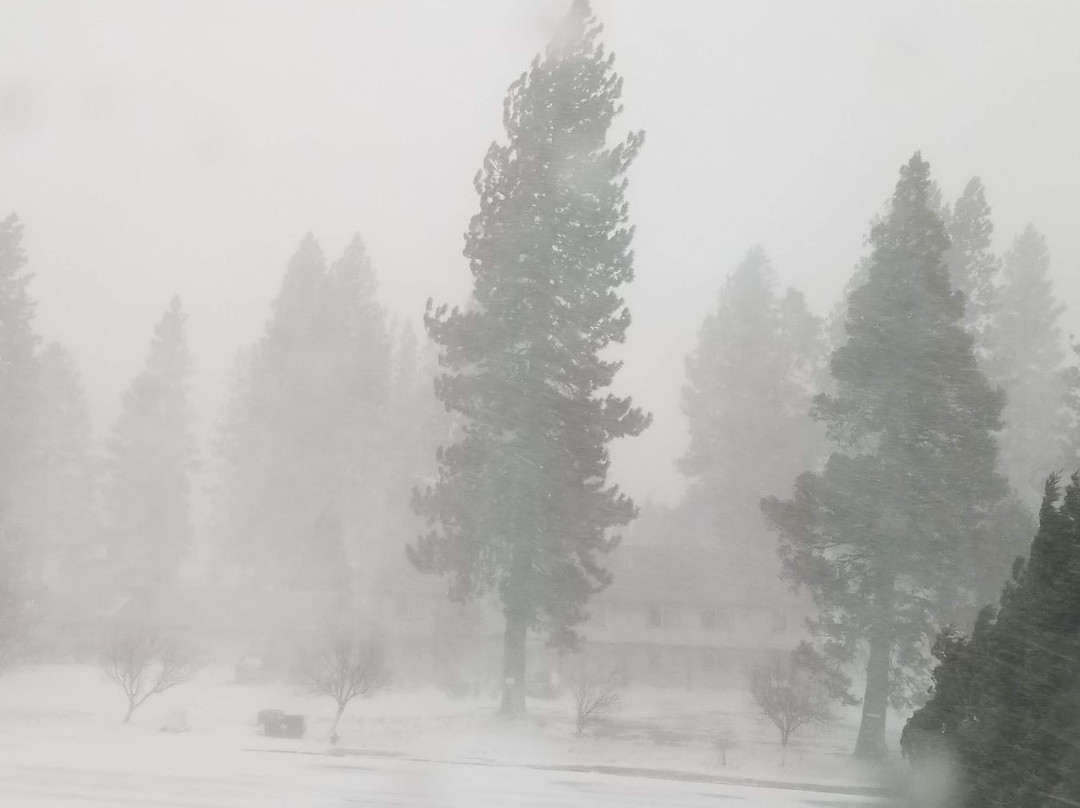 Comfort Inn Mount Shasta Area主图