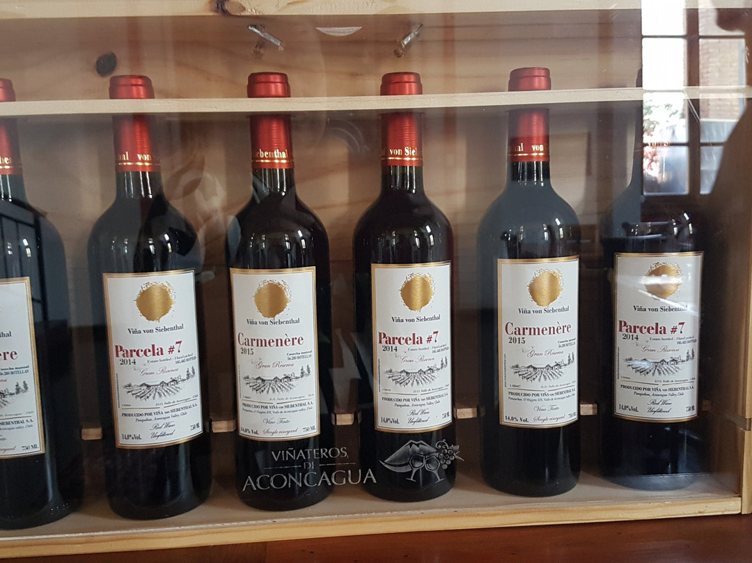Vina Von Siebenthal景点图片