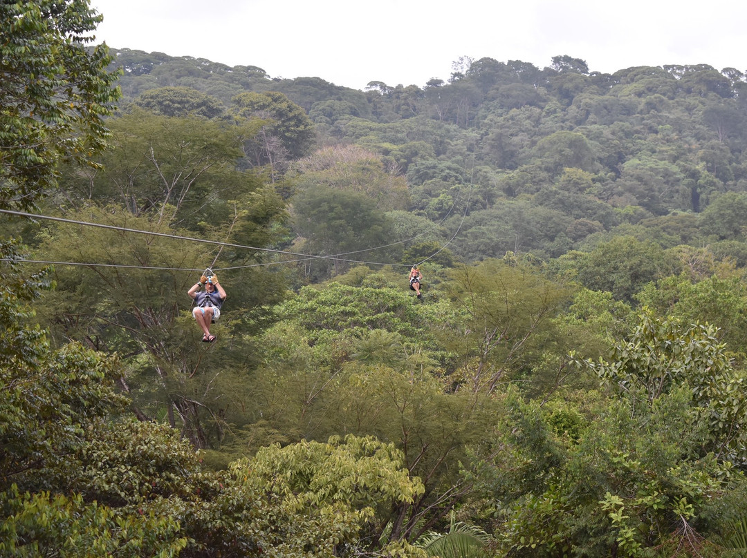 El Santuario Canopy Adventure Tour景点图片