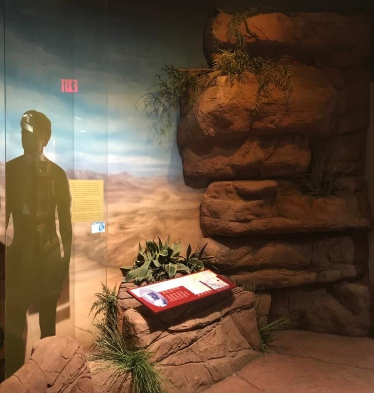 Arab American National Museum景点图片