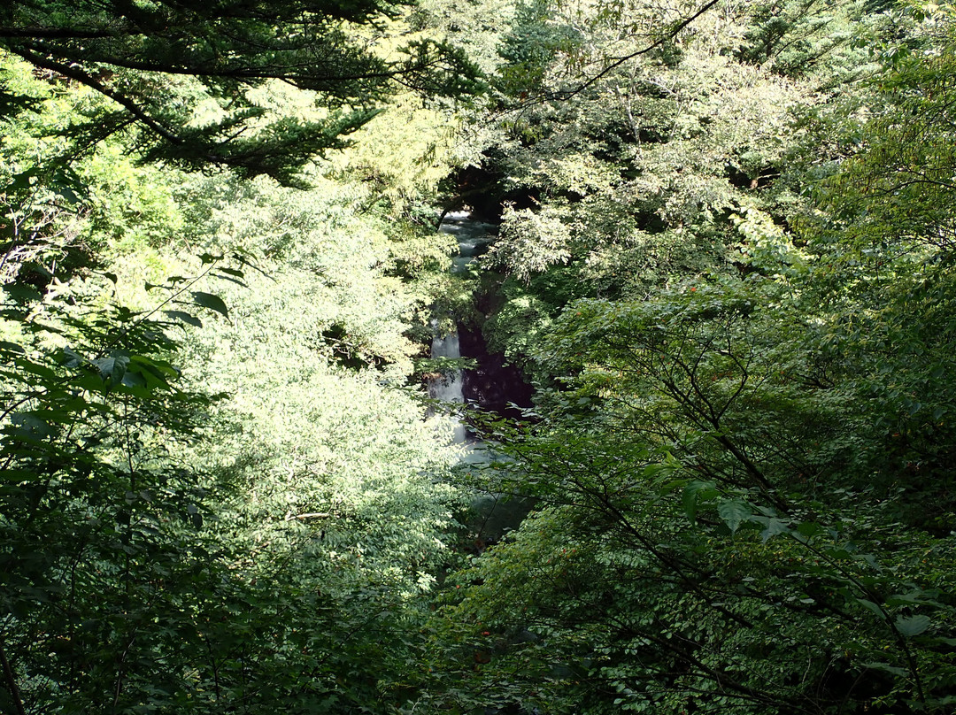 Oizumi Waterfall景点图片