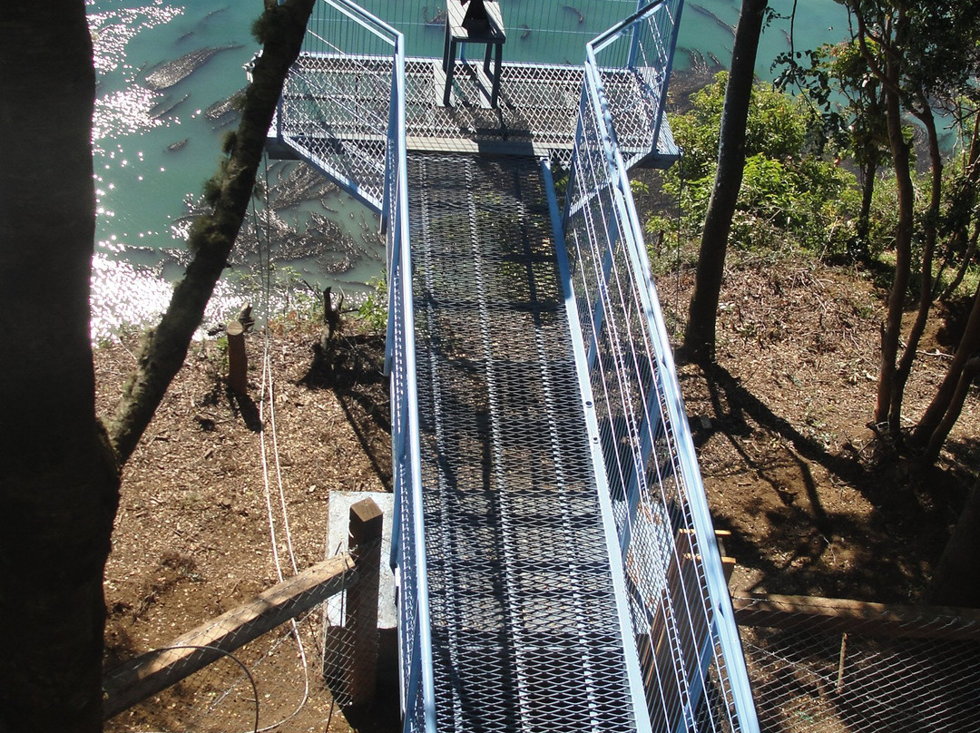 Mirador La Voladora-Puqueldon必去景点