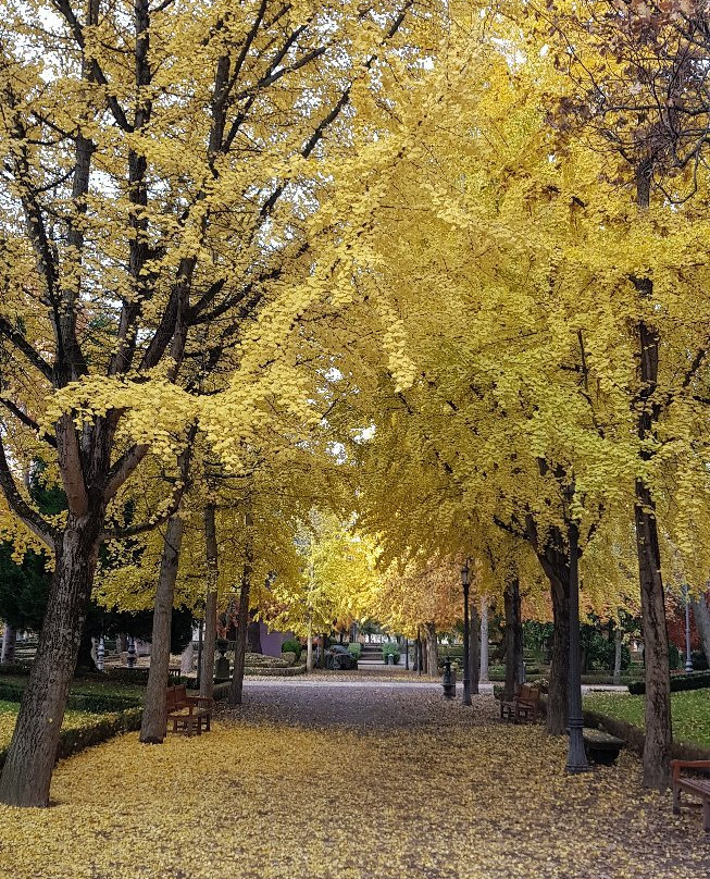 Parroquia San Lorenzo-潘普洛纳必去景点