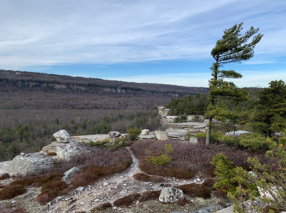 Hudson Valley Rose Bed & Breakfast主图