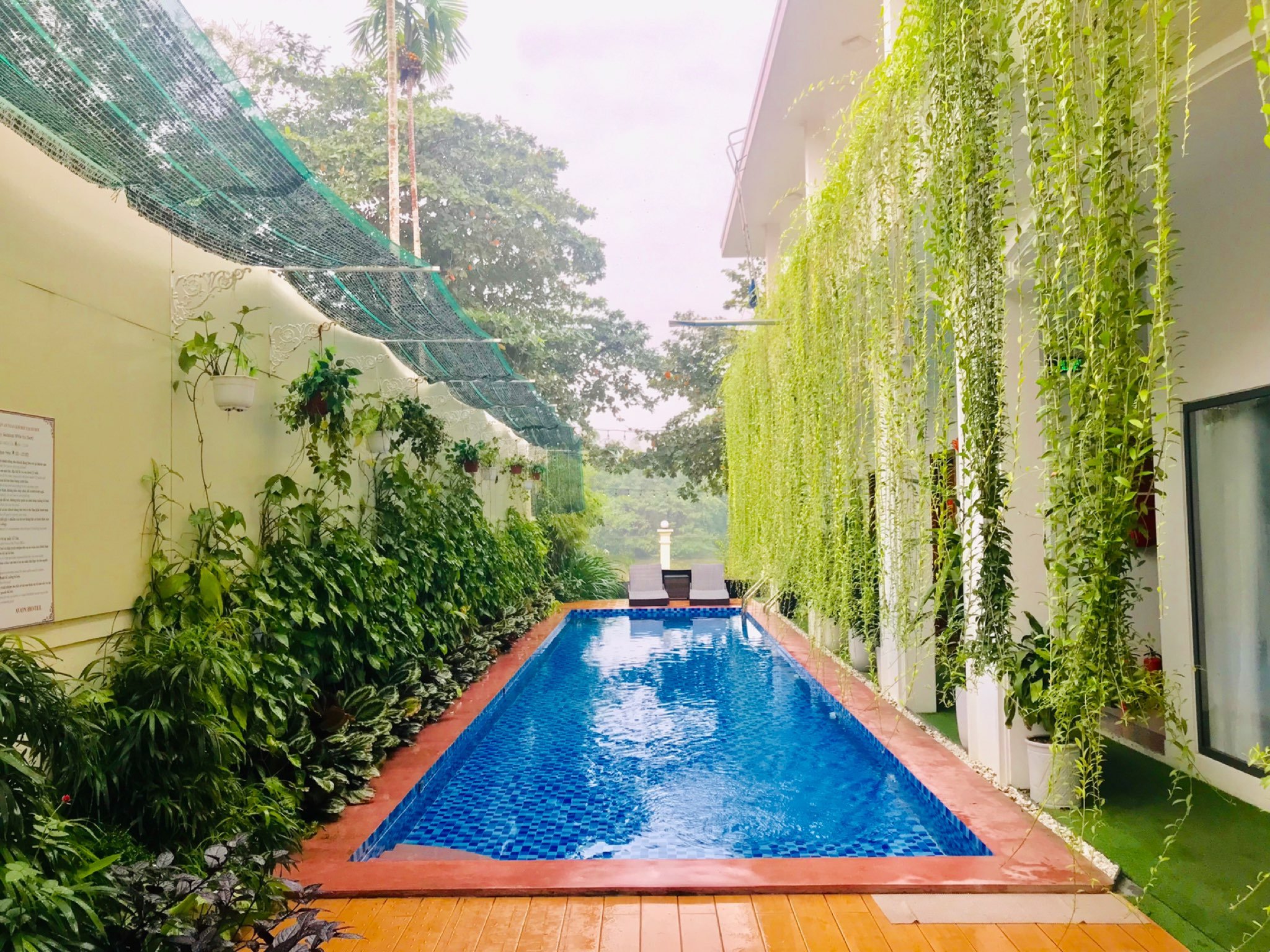 Avon Hotel-泳池
